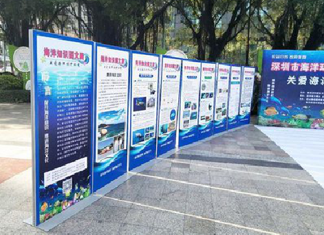 云梦KT板的种类和知识。